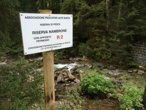 NAMBRONE-IMG_7658